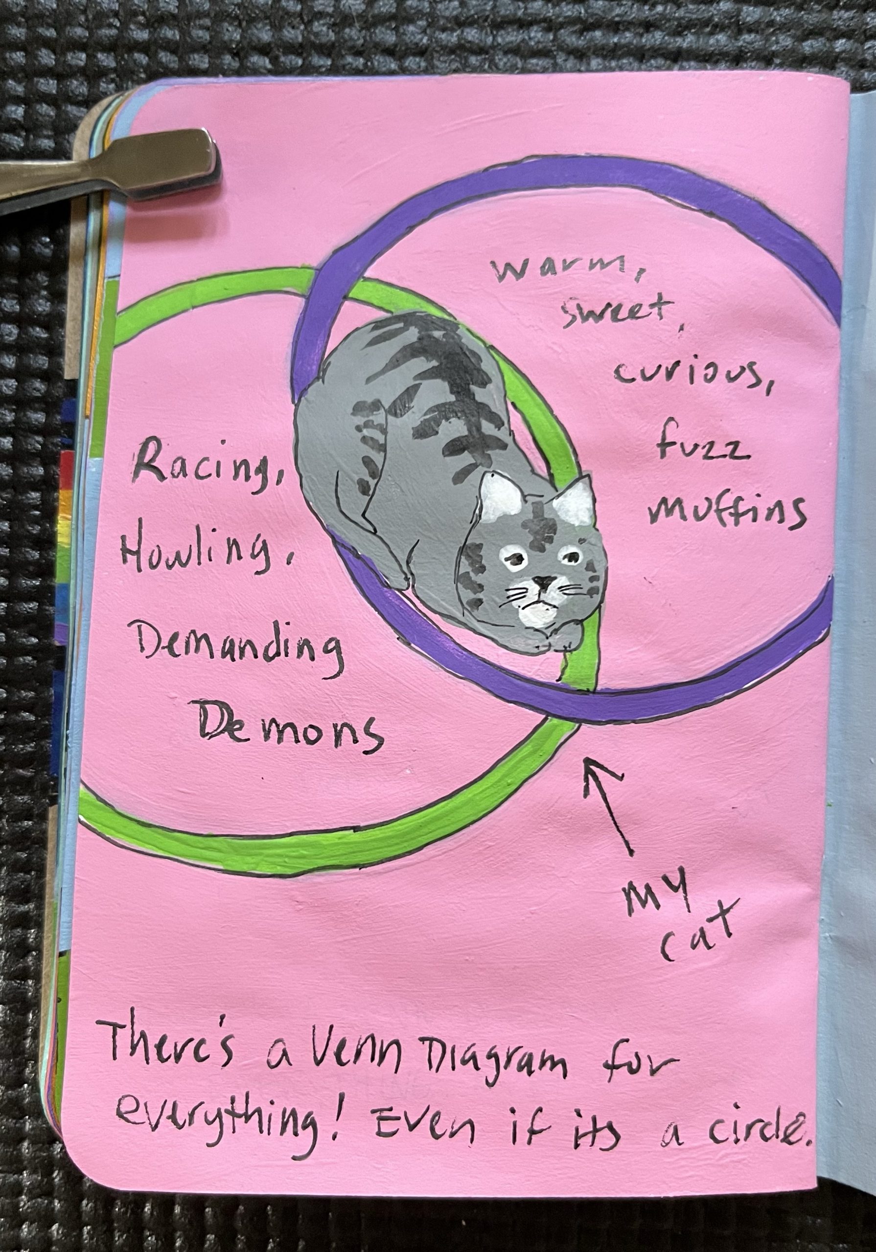A painted page show a Venn diagram and a cat in the overlap.