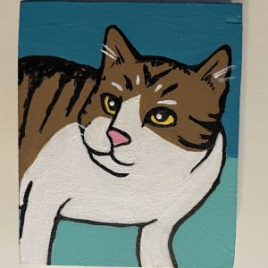 portrait of David Malcolm a half tabby, half white cat